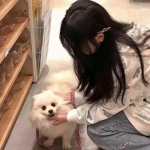 冒险游乐场测试服下载